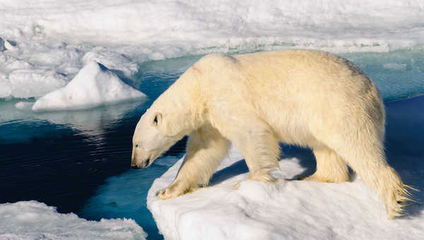 Svalbard